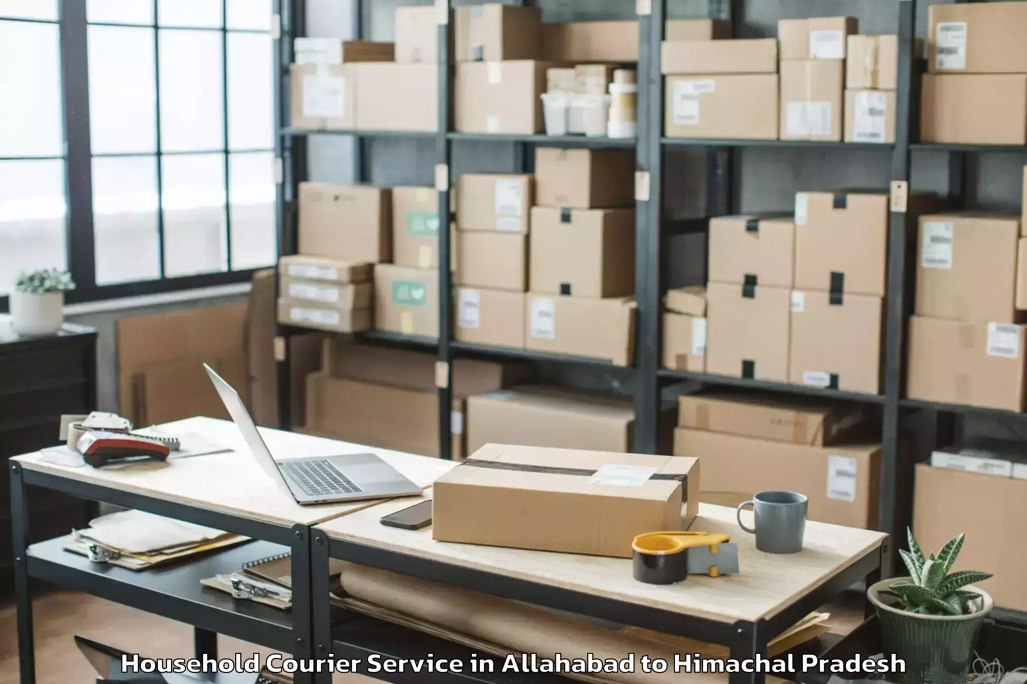 Professional Allahabad to Baddi Household Courier